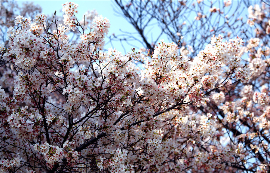 1648716188449262.jpg 1648714545(1).jpg